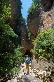 Hikers in the canyon with green trees