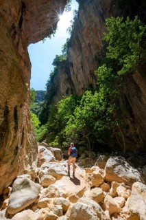 Hiking in the canyon with green trees
