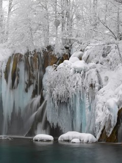 Winter landscape