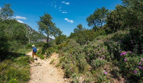Hiker on a hiking trail