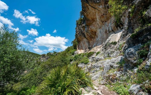 Footpath