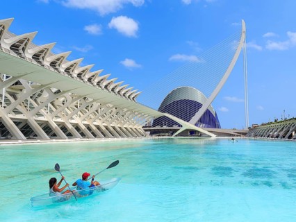 Principe Felipe Science Museum and Puente de l'Assut de l'Or bridge