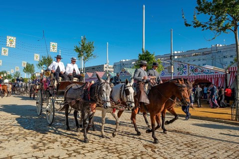 Decorated horse-drawn carriage