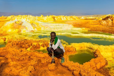 Native to the geothermal area with sulphur deposits and acidic brines