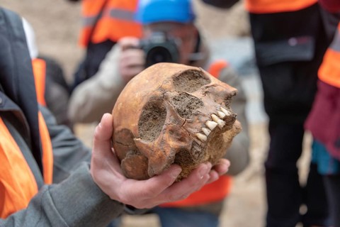Skull