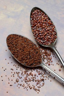 Quinoa