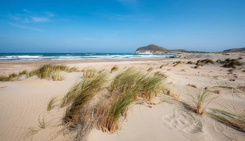 Sand dunes on the beach