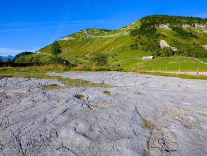 Rock slab through glacier grinding in the alpine pasture area