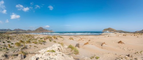 Sand dunes on the beach