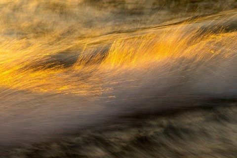 Spray
