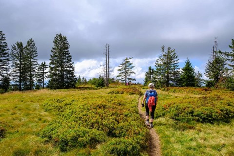 Summit plateau of Heugstatt