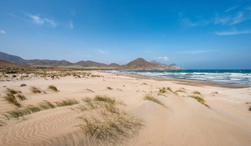 Sand dunes on the beach
