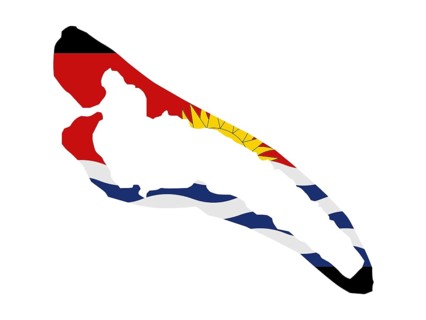 Flag in form form of the geographical country