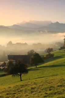 Waedenswil