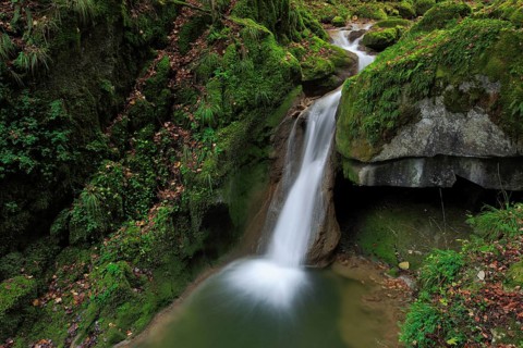 Twannbach Gorge