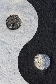 Ying Yang