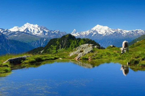 Swiss Alps