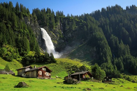 Staeubifall