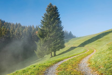 Field path on the Raten Pass