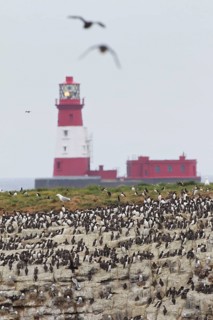 Longstone Rock lighthouse