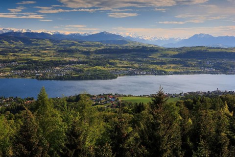 Lake Zurich