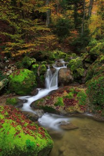 Twannbach Gorge