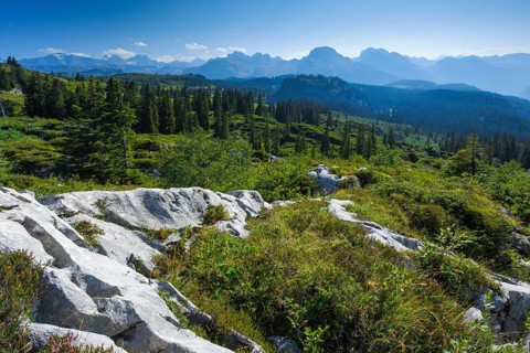 Karst landscape at the Pragelpass