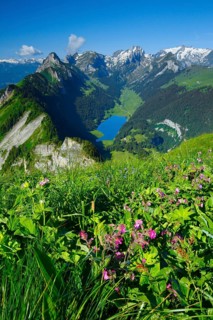 Saemtisersee