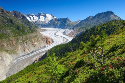 Aletsch Glacier
