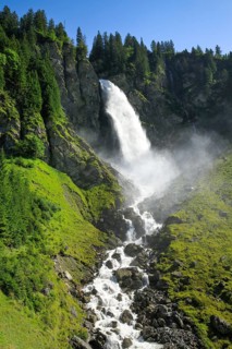 Staeubifall