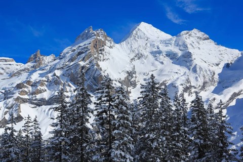Blueemlisalp Rothorn