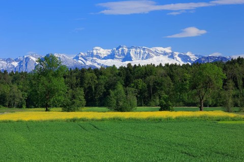 View from Gossau Zurich to Glaernisch
