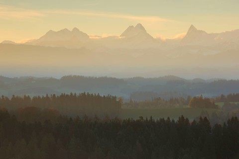 Emmental