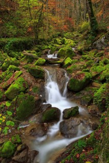 Twannbach Gorge