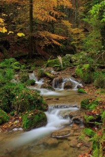 Twannbach Gorge