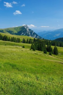 Alp Palfries with Tschuggen