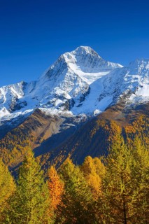 Bietschhorn