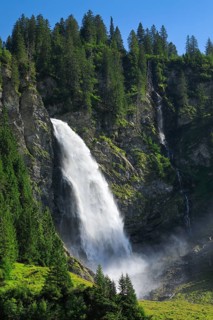 Staeubifall