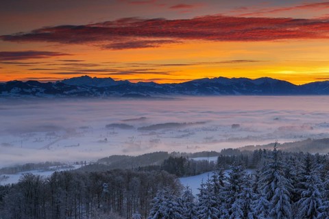 Saentis