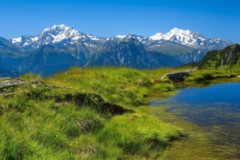 Swiss Alps