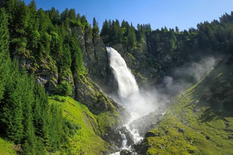 Staeubifall
