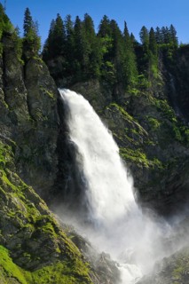 Staeubifall
