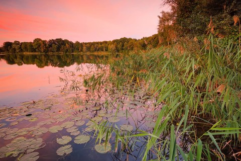 Lake Burgaeschi