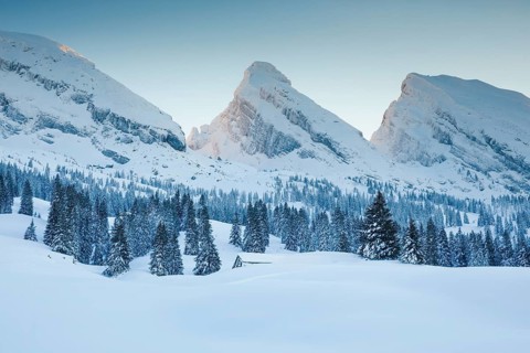 Alp Sellamatt