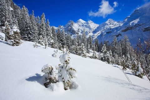 Blueemlisalp Rothorn
