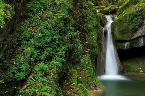 Twannbach Gorge
