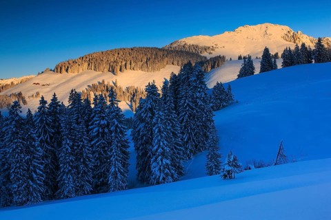 Jaunpass