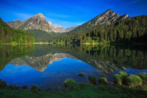 Obersee