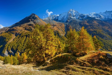 Grande Dent de Veisivi