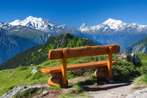 Bench